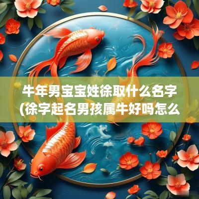 蛇年男宝宝姓徐取什么名字(徐字起名男孩属牛好吗怎么取)