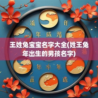 王姓兔宝宝名字大全(姓王蛇年出生的男孩名字)