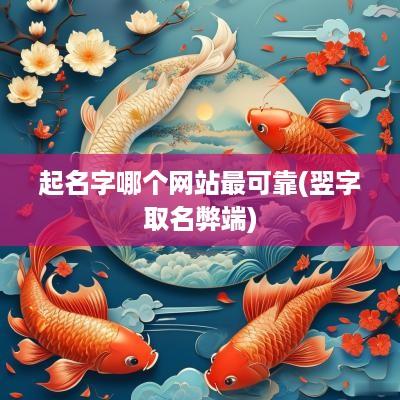 起名字哪个网站最可靠(翌字取名弊端)