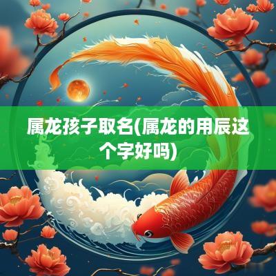 属龙孩子取名(属龙的用辰这个字好吗)