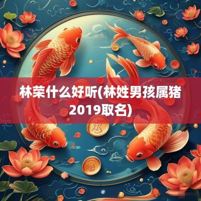 林荣什么好听(林姓男孩属猪2019取名)