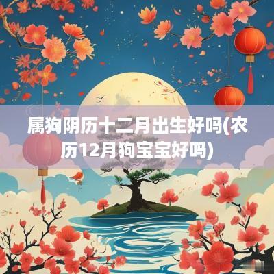 属狗阴历十二月出生好吗(农历12月狗宝宝好吗)