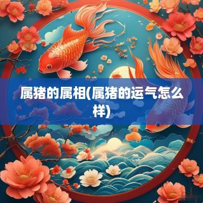 属猪的属相(属猪的运气怎么样)