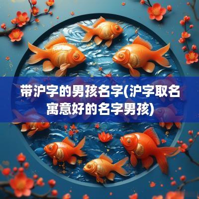 带沪字的男孩名字(沪字取名寓意好的名字男孩)