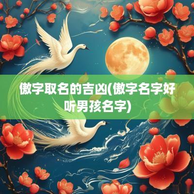傲字取名的吉凶(傲字名字好听男孩名字)