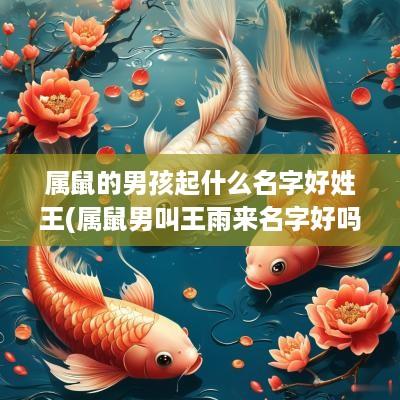 属鼠的男孩起什么名字好姓王(属鼠男叫王雨来名字好吗)