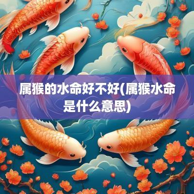 属猴的水命好不好(属猴水命是什么意思)