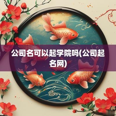 公司名可以起学院吗(公司起名网)