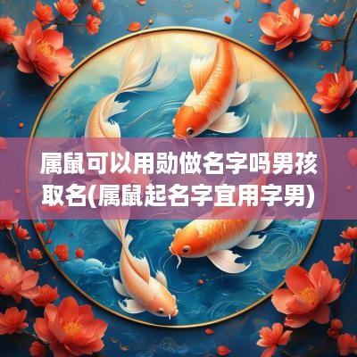 属鼠可以用勋做名字吗男孩取名(属鼠起名字宜用字男)