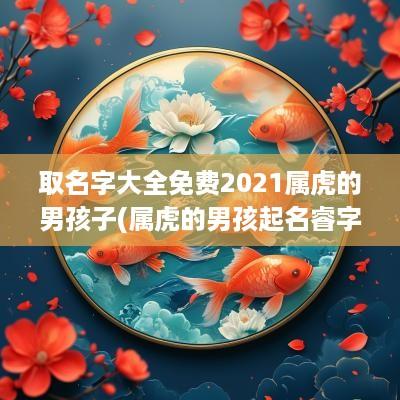 取名字大全免费2025属虎的男孩子(属虎的男孩起名睿字好吗怎么取)