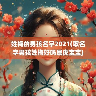 姓梅的男孩名字2025(取名字男孩姓梅好吗属虎宝宝)