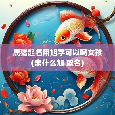 属猪起名用旭字可以吗女孩(朱什么旭 取名)