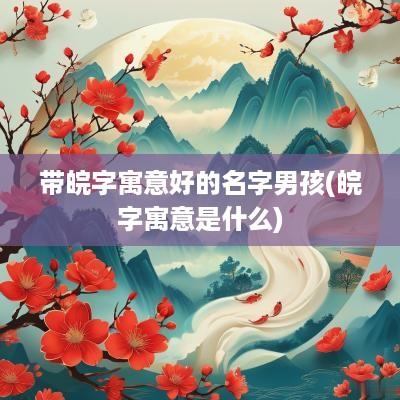 带皖字寓意好的名字男孩(皖字寓意是什么)