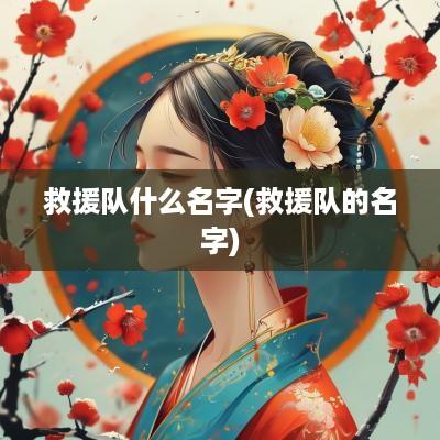 救援队什么名字(救援队的名字)