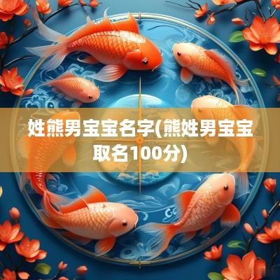 姓熊男宝宝名字(熊姓男宝宝取名100分)