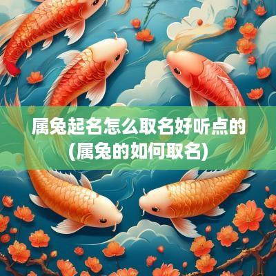 属兔起名怎么取名好听点的(属兔的如何取名)