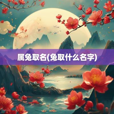 属兔取名(兔取什么名字)