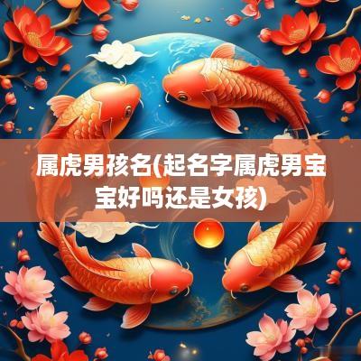 属虎男孩名(起名字属虎男宝宝好吗还是女孩)