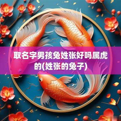 取名字男孩兔姓张好吗属虎的(姓张的兔子)