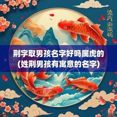荆字取男孩名字好吗属虎的(姓荆男孩有寓意的名字)