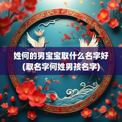 姓何的男宝宝取什么名字好(取名字何姓男孩名字)