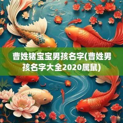 曹姓猪宝宝男孩名字(曹姓男孩名字大全2025属鼠)