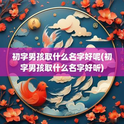 初字男孩取什么名字好呢(初字男孩取什么名字好听)