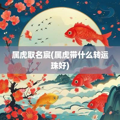 属虎取名宸(属虎带什么转运珠好)