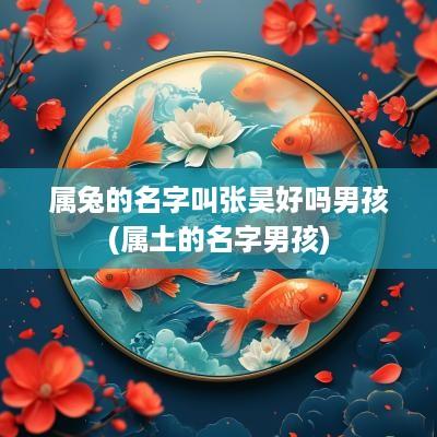 属兔的名字叫张昊好吗男孩(属土的名字男孩)