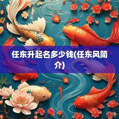 任东升起名多少钱(任东风简介)