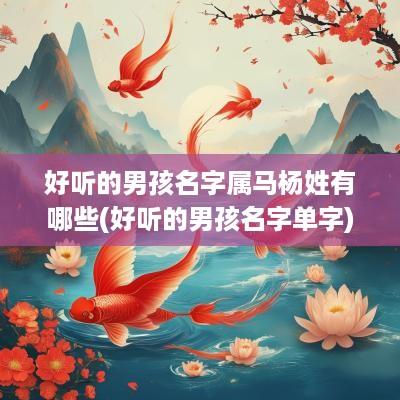 好听的男孩名字属马杨姓有哪些(好听的男孩名字单字)