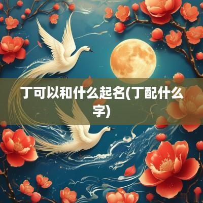 丁可以和什么起名(丁配什么字)