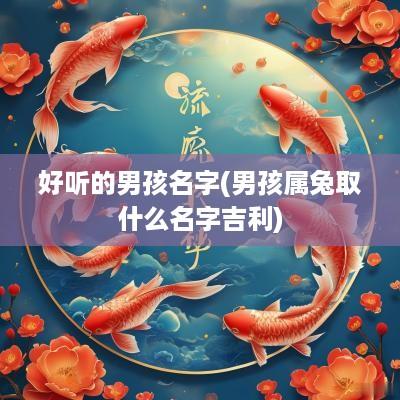 好听的男孩名字(男孩属兔取什么名字吉利)