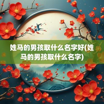 姓马的男孩取什么名字好(姓马的男孩取什么名字)