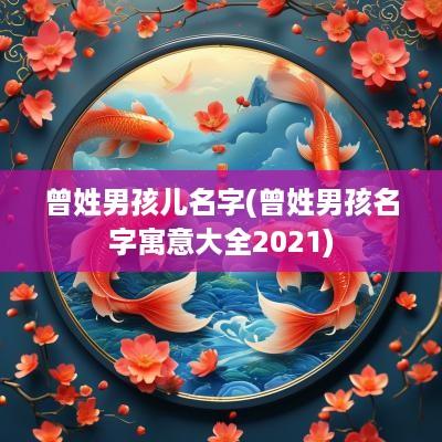 曾姓男孩儿名字(曾姓男孩名字寓意大全2025)