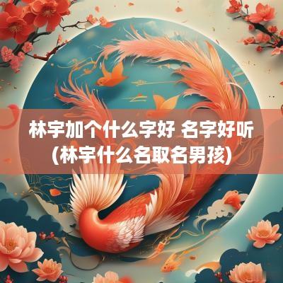 林宇加个什么字好 名字好听(林宇什么名取名男孩)