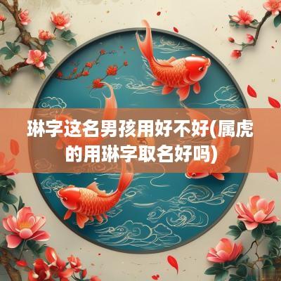 琳字这名男孩用好不好(属虎的用琳字取名好吗)