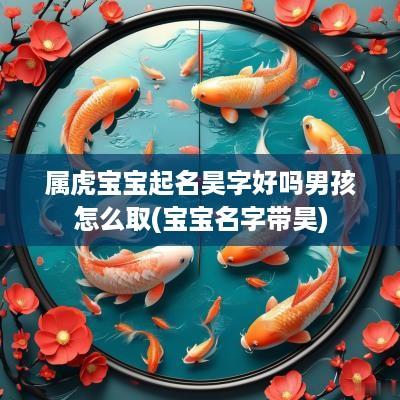 属虎宝宝起名昊字好吗男孩怎么取(宝宝名字带昊)