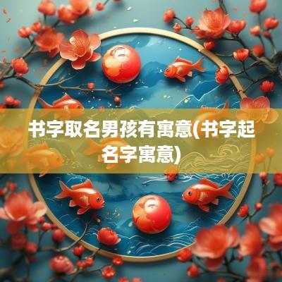 书字取名男孩有寓意(书字起名字寓意)