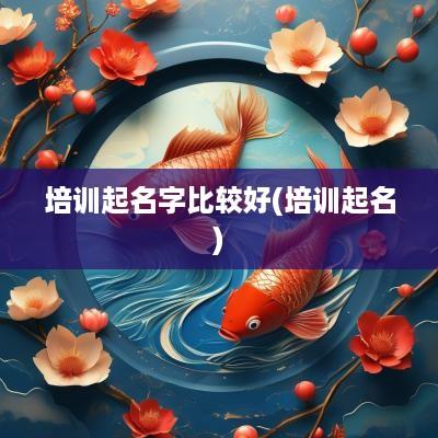 培训起名字比较好(培训起名)
