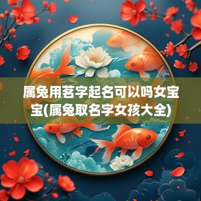 属兔用茗字起名可以吗女宝宝(属兔取名字女孩大全)