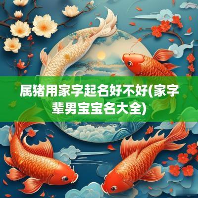 属猪用家字起名好不好(家字辈男宝宝名大全)