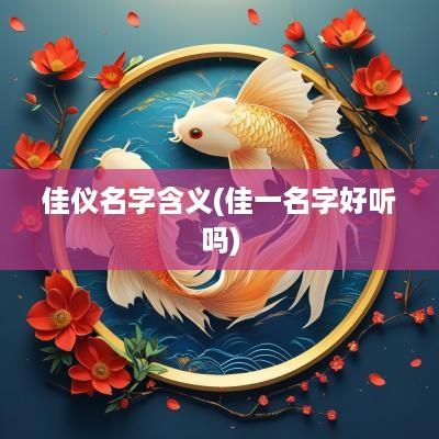 佳仪名字含义(佳一名字好听吗)