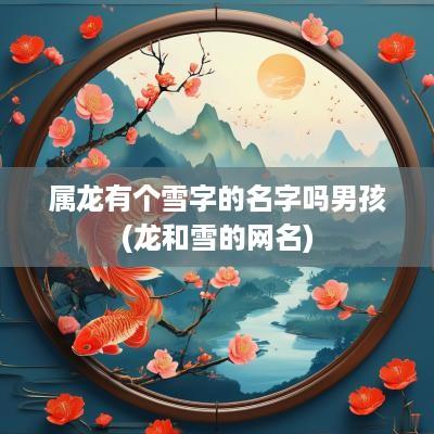 属龙有个雪字的名字吗男孩(龙和雪的网名)