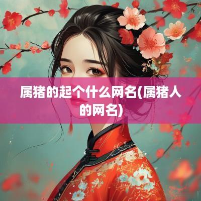 属猪的起个什么网名(属猪人的网名)