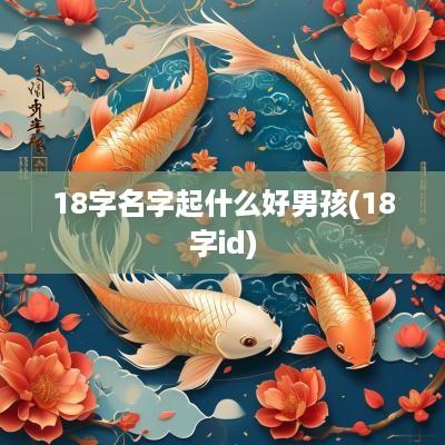 18字名字起什么好男孩(18字id)