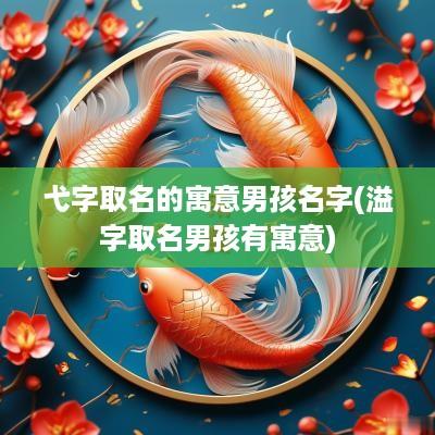 弋字取名的寓意男孩名字(溢字取名男孩有寓意)