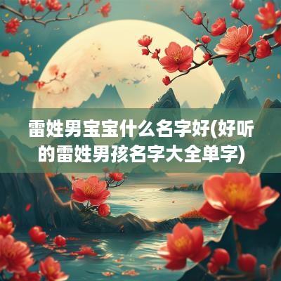 雷姓男宝宝什么名字好(好听的雷姓男孩名字大全单字)