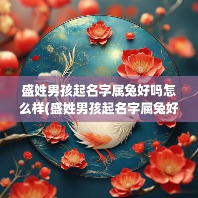 盛姓男孩起名字属兔好吗怎么样(盛姓男孩起名字属兔好吗怎么取)