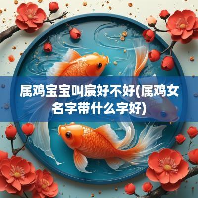 属鸡宝宝叫宸好不好(属鸡女名字带什么字好)